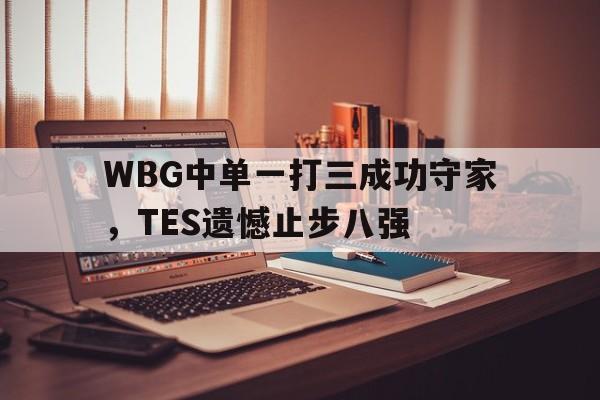 WBG中单一打三成功守家，TES遗憾止步八强